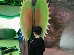 -济南植物园