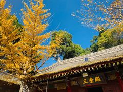 -少华山国家森林公园