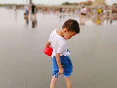 -奉贤海滩