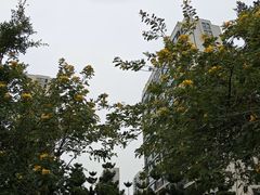 -厦门园林博览苑
