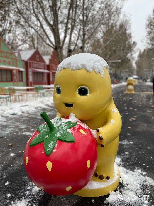 南宫五洲植物乐园图片