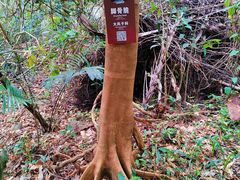 -七仙岭温泉国家森林公园