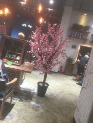 -简影造型·大牌烫染salon