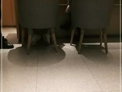 -海底捞火锅(九霄梦天地店)