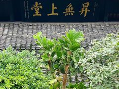 -峨眉山报国寺