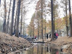 -白水寺森林公园