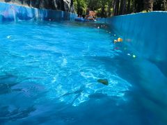 -郑州方特水上乐园