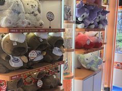 -可爱抓 COCO  GOTCHA(天津鹏欣水游城店)