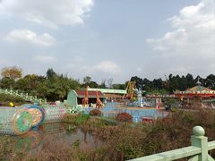 -空港花田景区