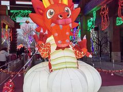 -南宫五洲植物乐园