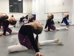 -西安小天鹅艺术团(金花路校区)