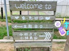 -前小桔亲子创意农场·草莓采摘·露营烧烤