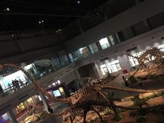 -自贡恐龙博物馆