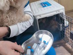 -中农大我爱我爱24h动物医院·中医针灸·猫专科·骨科医疗中心(双井店)