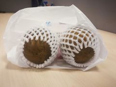 罗汉果-北京同仁堂施小墨中医馆(建外SOHO店)