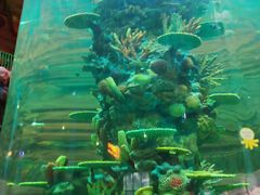 -青岛嘉年华主题乐园