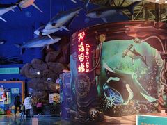 -烟台海昌鲸鲨海洋公园