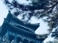 -颐和园