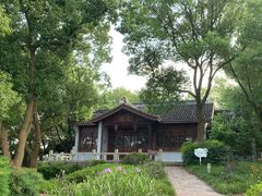 水云茶室-上海市保健医疗中心