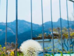 -石岛赤山风景区