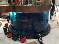 -OPEN開全日自助餐厅·牛肉火锅·海鲜(佛山希尔顿酒店)