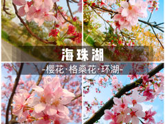 -海珠湖公园