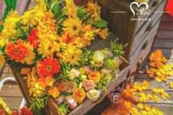 -IDOI婚礼策划·IDOIWEDDING