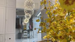 -潘多拉Hairsalon