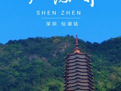 -深圳市中科院仙湖植物园