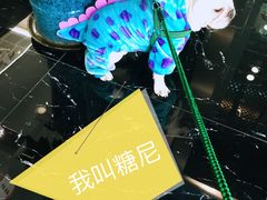 -Gucci(首创奥特莱斯店)