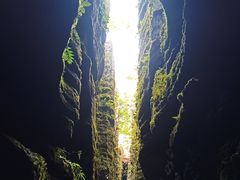 -梭布垭石林景区