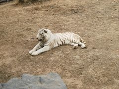 -济南野生动物世界