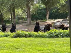 -北京野生动物园