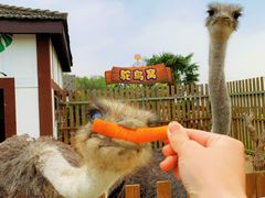 -太阳岛度假酒店