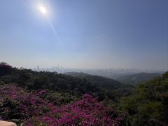 -广州市白云山风景名胜区