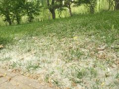 -泰安地下龙宫景区