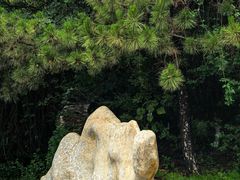 -府君山公园