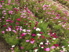 -歌斐颂巧克力小镇