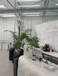 -BOF HAIR BY HONTO