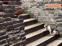 -长春观