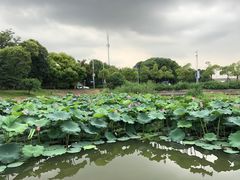 -美兰湖景区