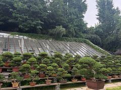 -水绘园
