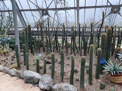 -南山植物园