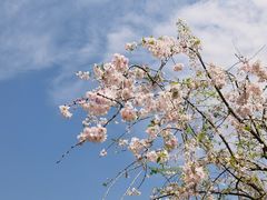 -上海辰山植物园