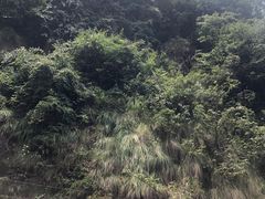 -安吉龙王山峡谷漂流