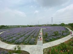 -上海杨姆庄园