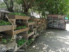 -大口潮边炉中餐火锅