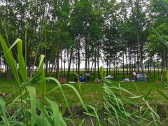 -中国天府农业博览园