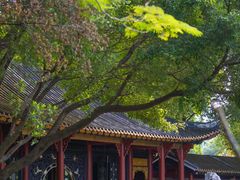 -顺峰山公园