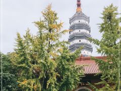 -迎江寺